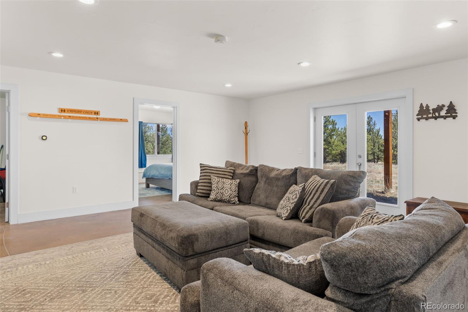 431 Rudisill Street Fairplay, CO 80440 - Photo 29 of 48 a living room with furniture and a couch