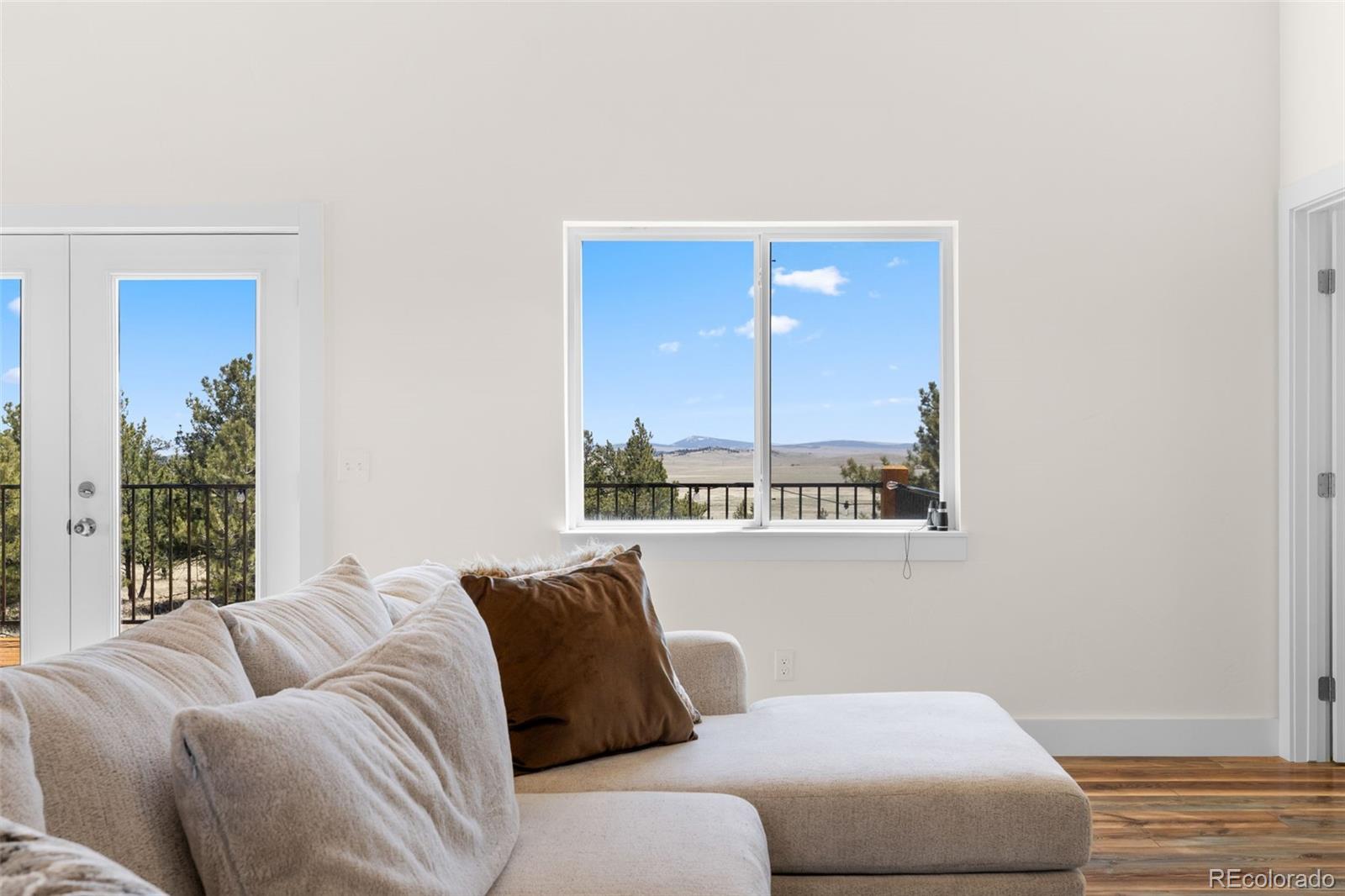 431 Rudisill Street Fairplay, CO 80440 - Photo 5 of 48 a living room with a couch