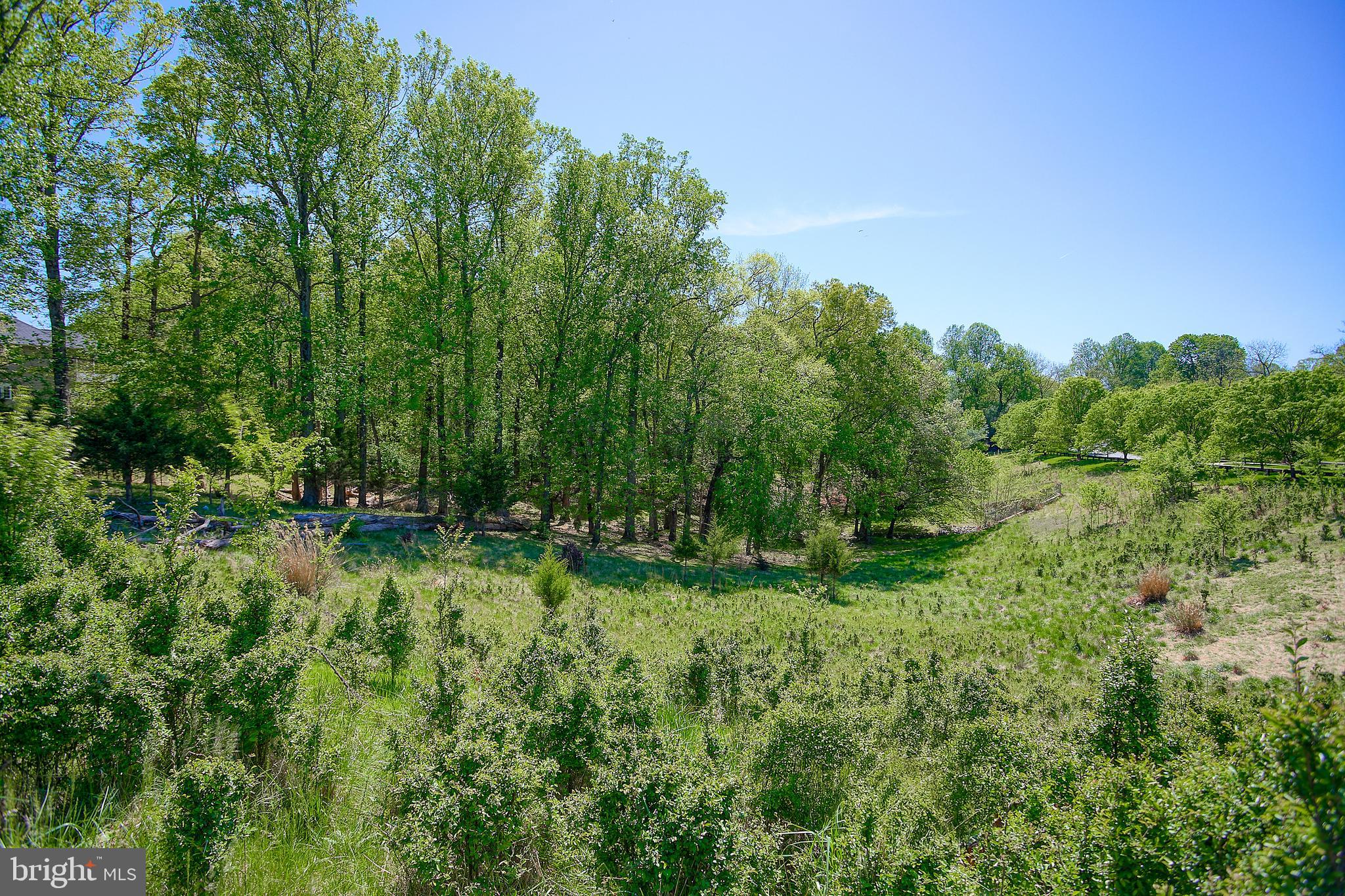 13501 Moonlight Trail Drive Silver Spring, MD 20906 - Photo 5 of 77 a lush green forest with lots of trees