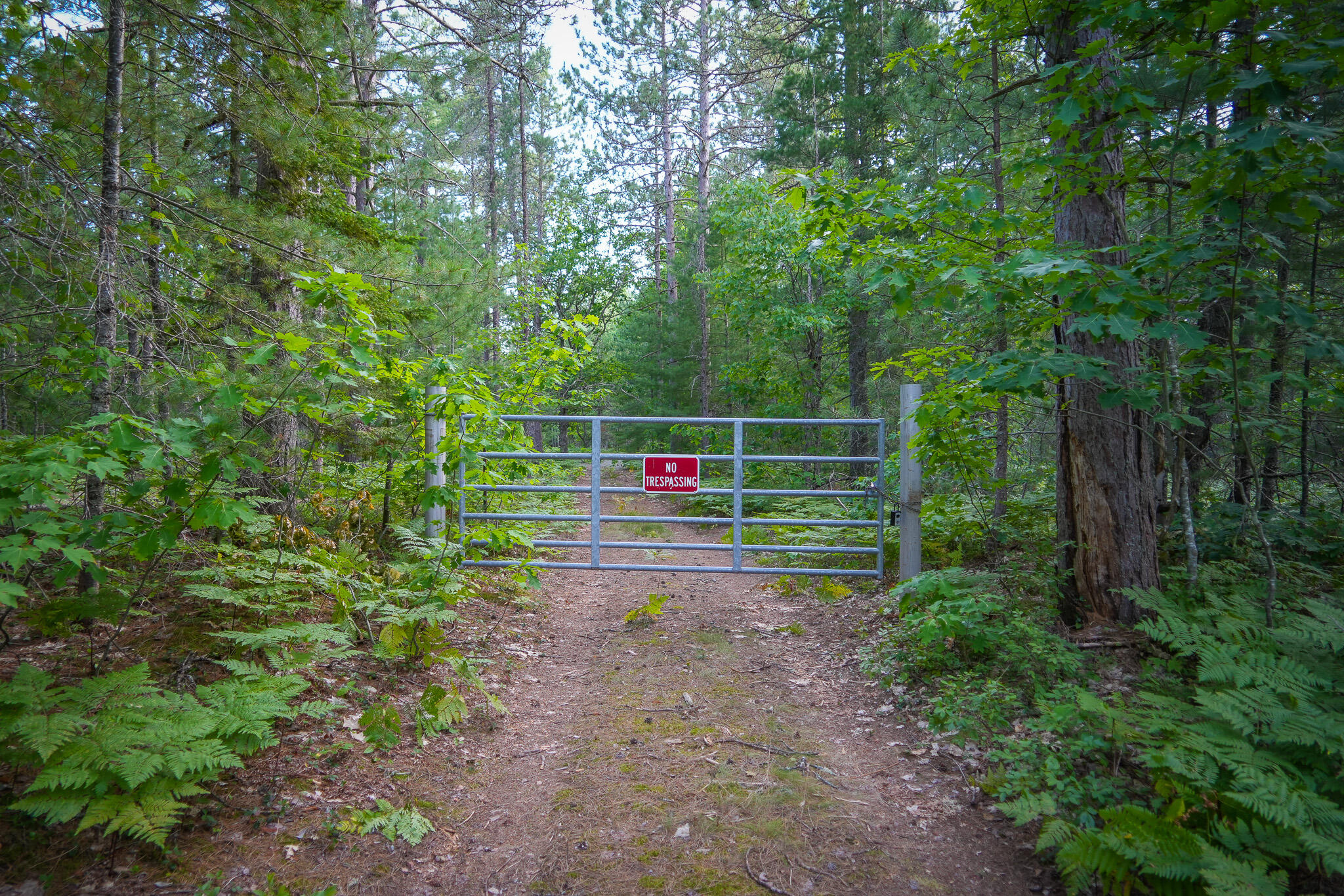 3505 Timber Lost Road Paradise, MI 49768 - Photo 62 of 63 DSC01396
