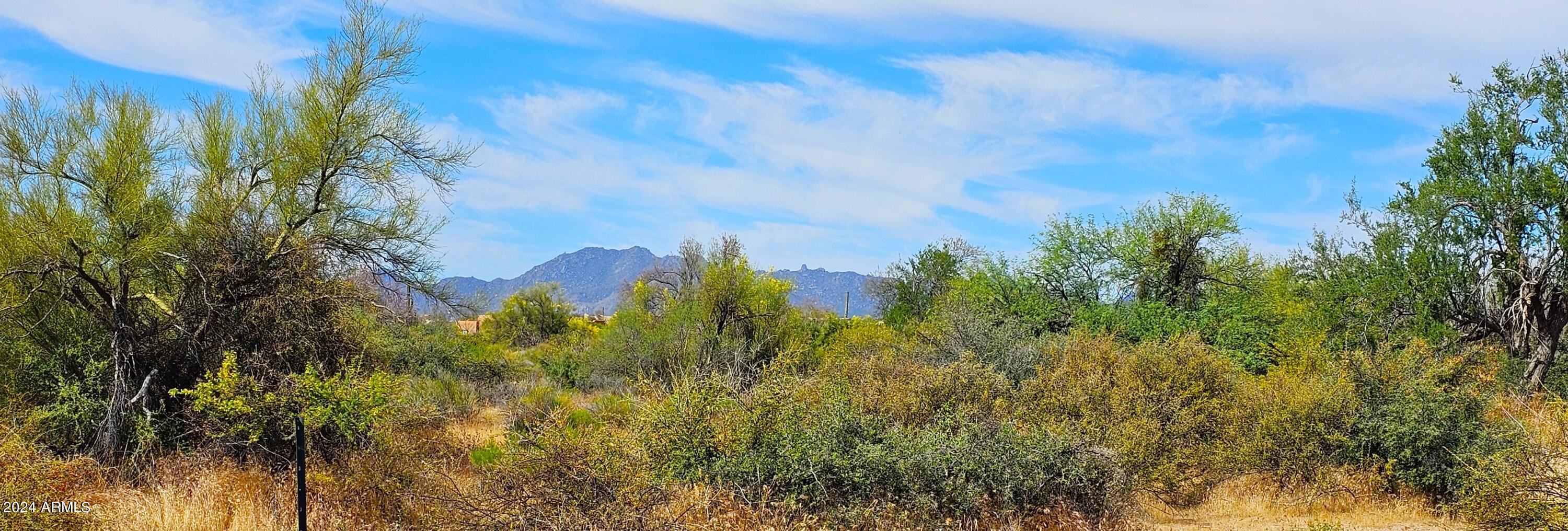 30200 North 168th Street, Unit 1 Rio Verde, AZ 85262 - Photo 12 of 16 McDowell Mts