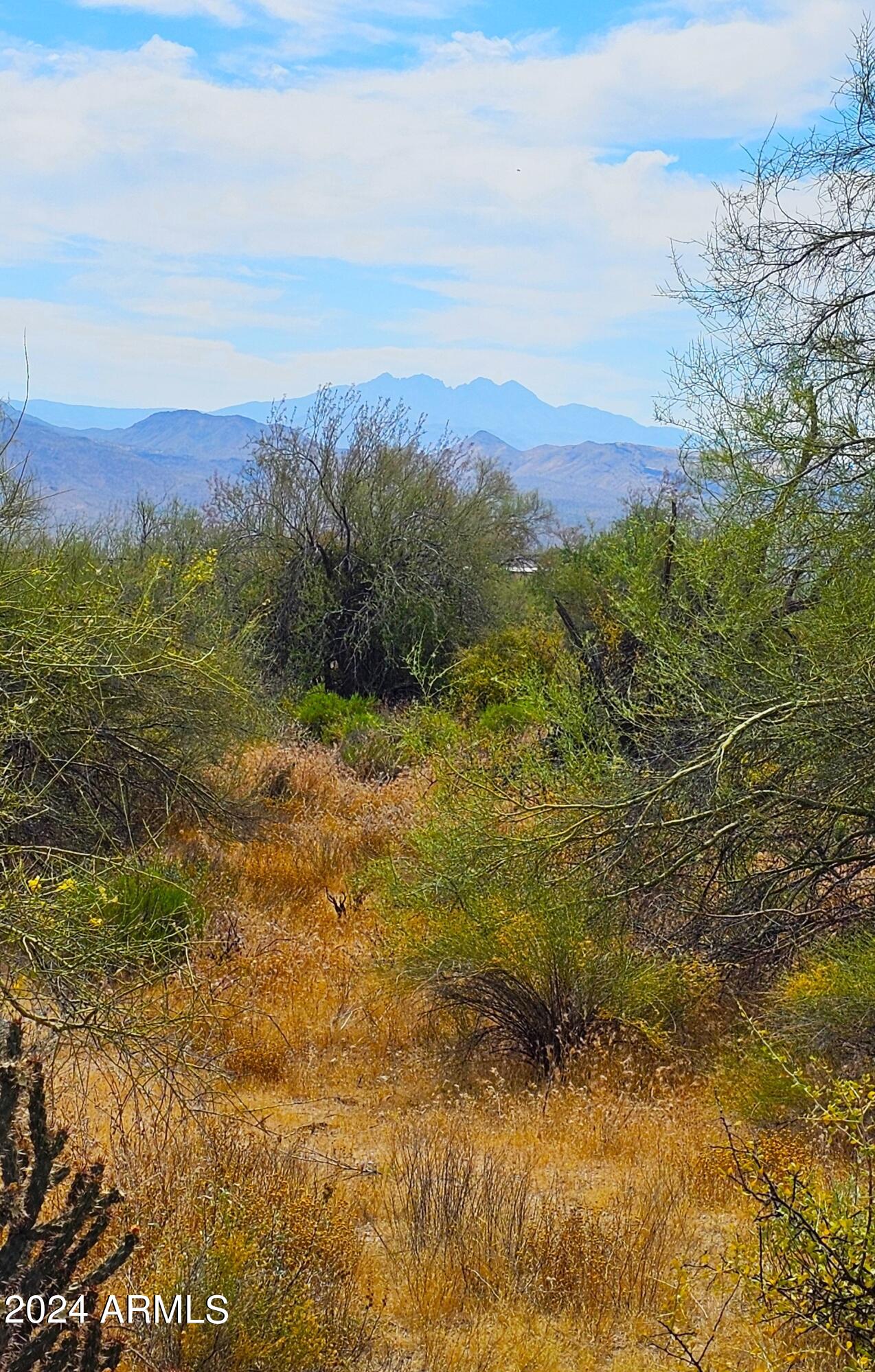 30200 North 168th Street, Unit 1 Rio Verde, AZ 85262 - Photo 2 of 16 Views of 4 Peak