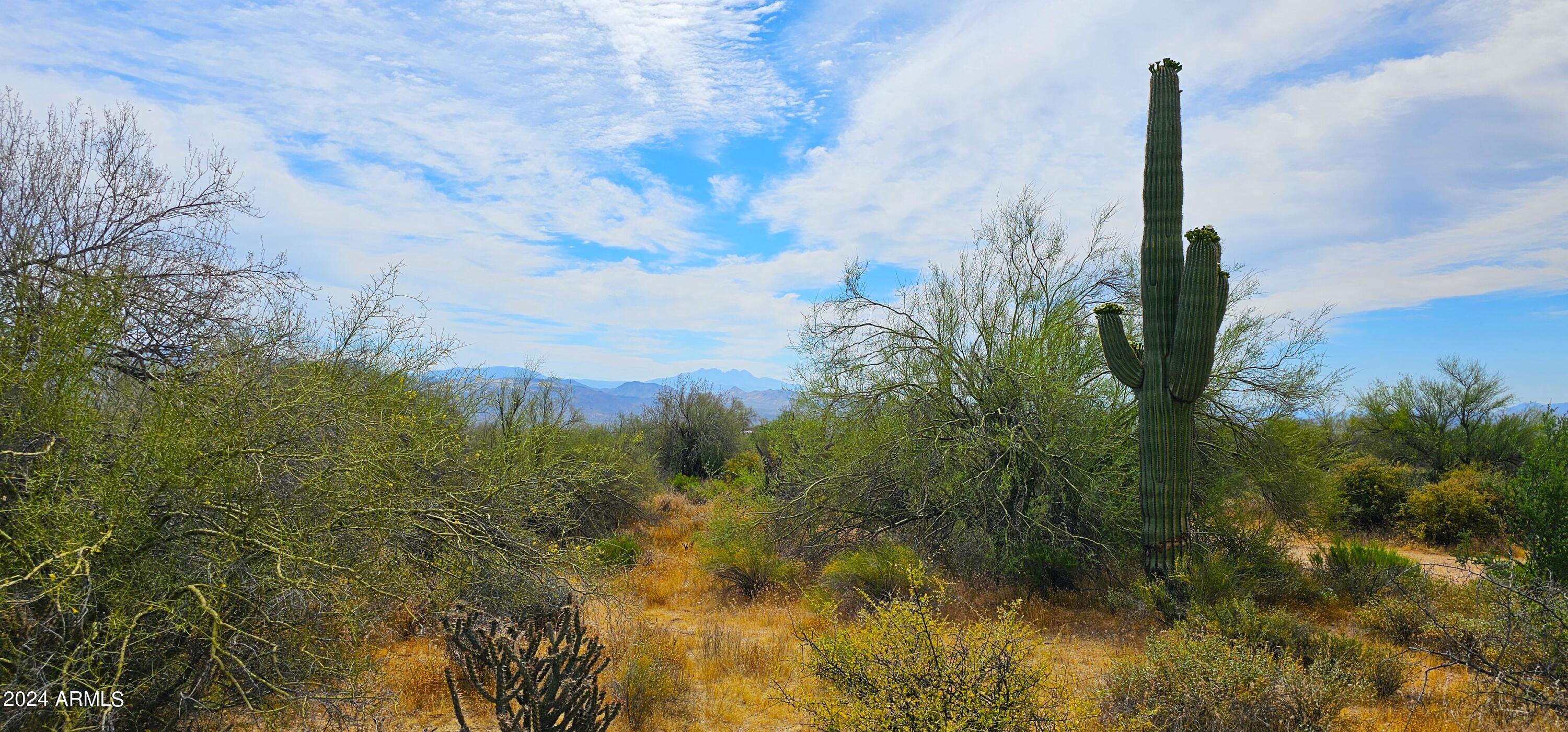 30200 North 168th Street, Unit 1 Rio Verde, AZ 85262 - Photo 3 of 16 Towering Saguaro's
