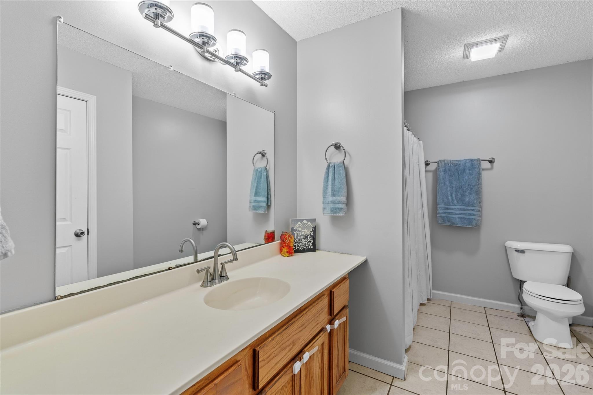 381 Hookers Gap Road Candler, NC 28715 - Photo 19 of 37