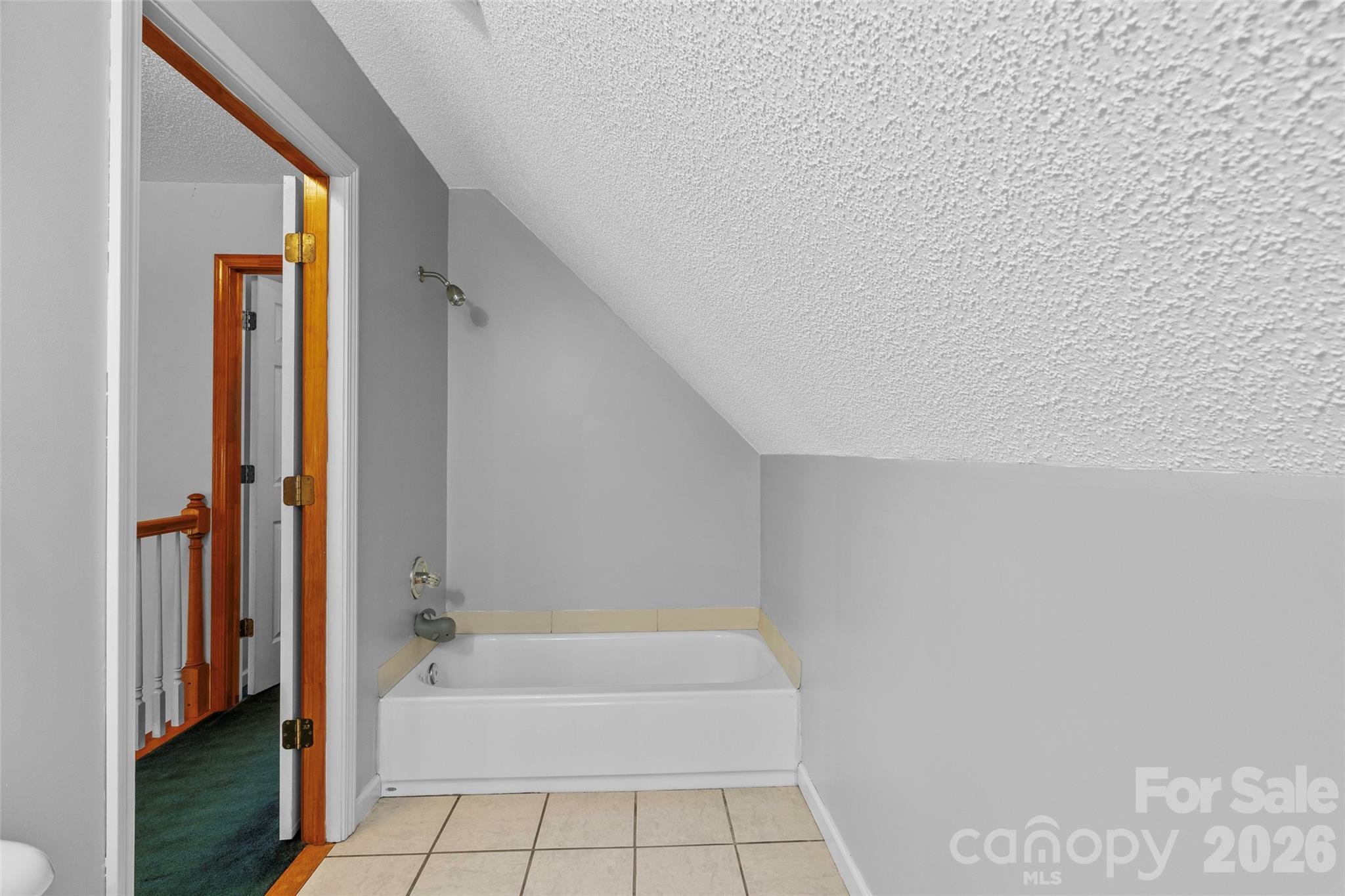 381 Hookers Gap Road Candler, NC 28715 - Photo 25 of 37