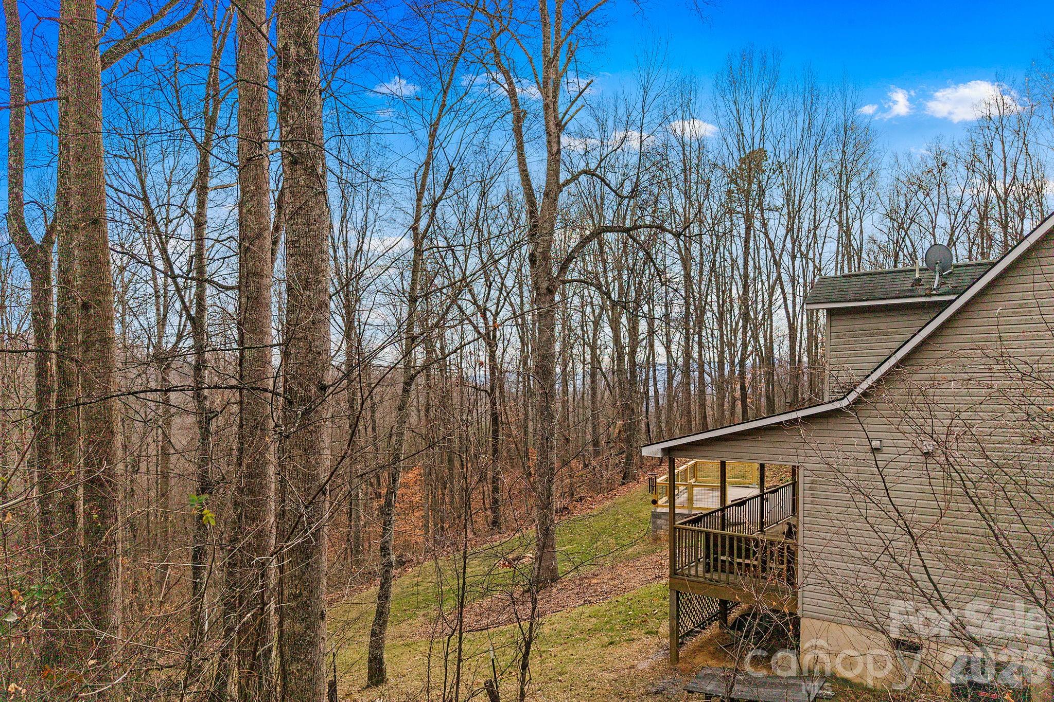 381 Hookers Gap Road Candler, NC 28715 - Photo 31 of 37