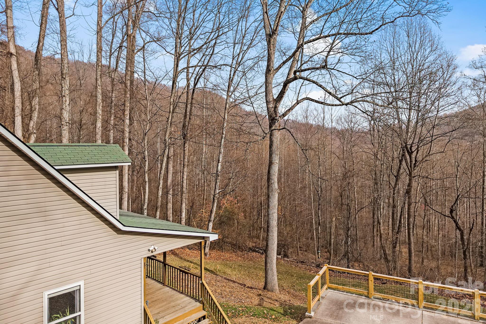 381 Hookers Gap Road Candler, NC 28715 - Photo 32 of 37