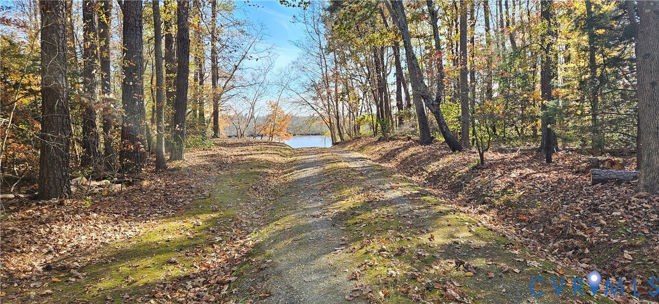 2239 Mantapike Landing Road Stevensville, VA 23161 - Photo 21 of 22 a view of a yard with large trees