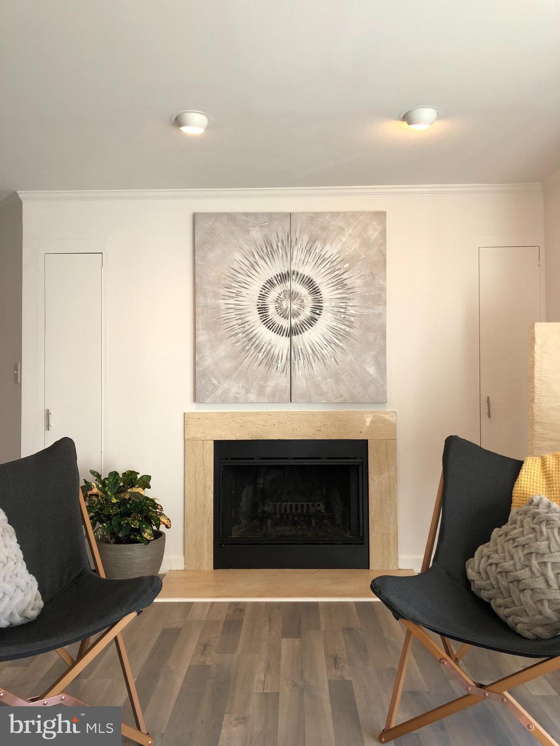 13705 Modrad Way, Unit 9A24 Silver Spring, MD 20904 - Photo 2 of 9 Fabulous Wood Burning Fireplace