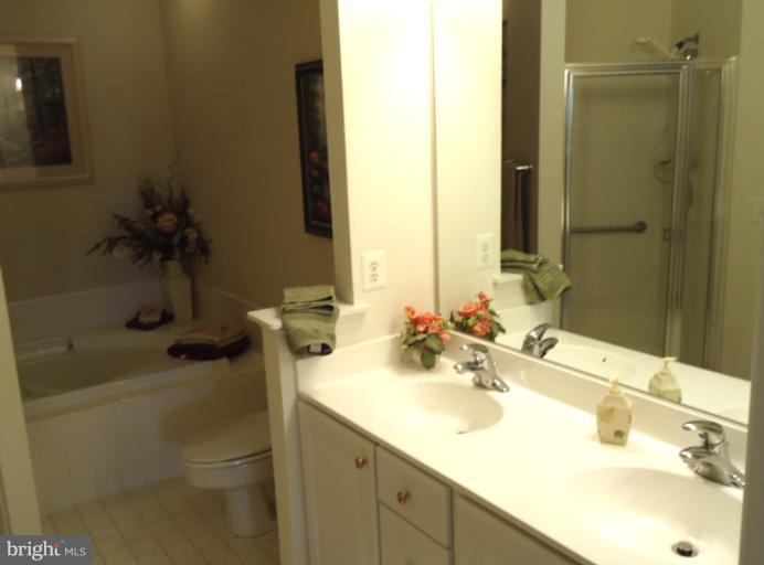 351 Hamlet Circle Edgewater, MD 21037 - Photo 18 of 30 Bath (Master)