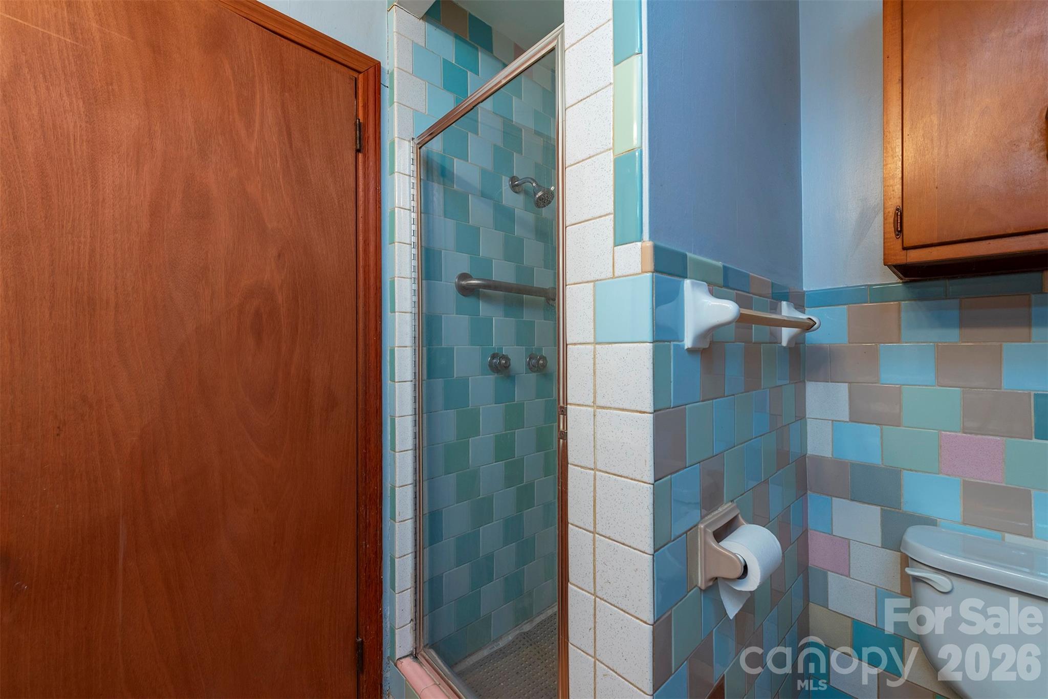 175 River Lane Canton, NC 28716 - Photo 15 of 35 a bathroom with a shower