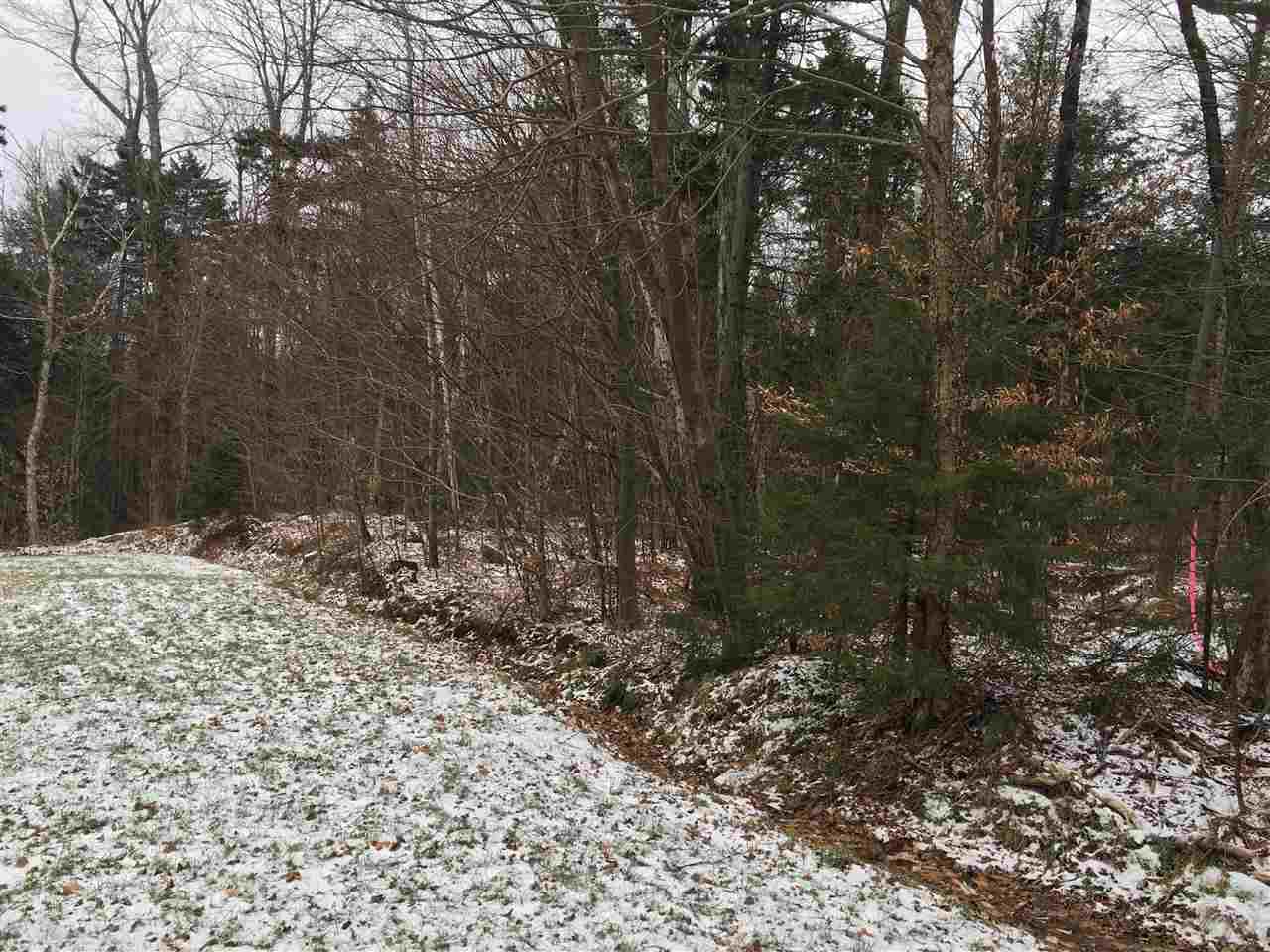 0 Low Road Waitsfield, VT 05673 - Photo 1 of 9 Gallery Image 1