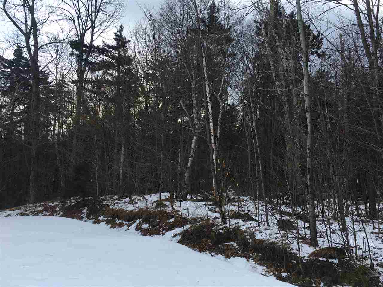 0 Low Road Waitsfield, VT 05673 - Photo 2 of 9 Gallery Image 2