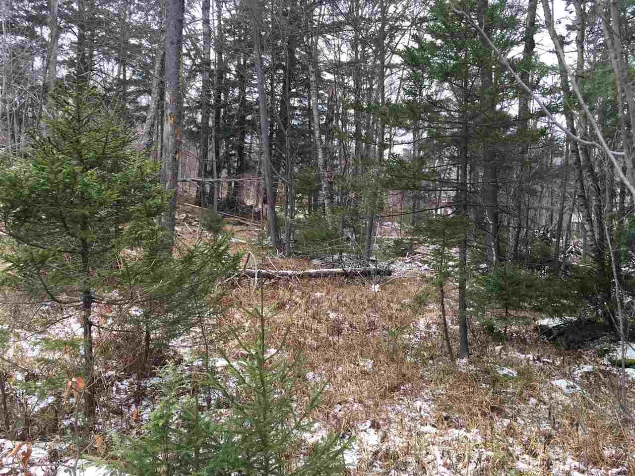 0 Low Road Waitsfield, VT 05673 - Photo 3 of 9 Gallery Image 3