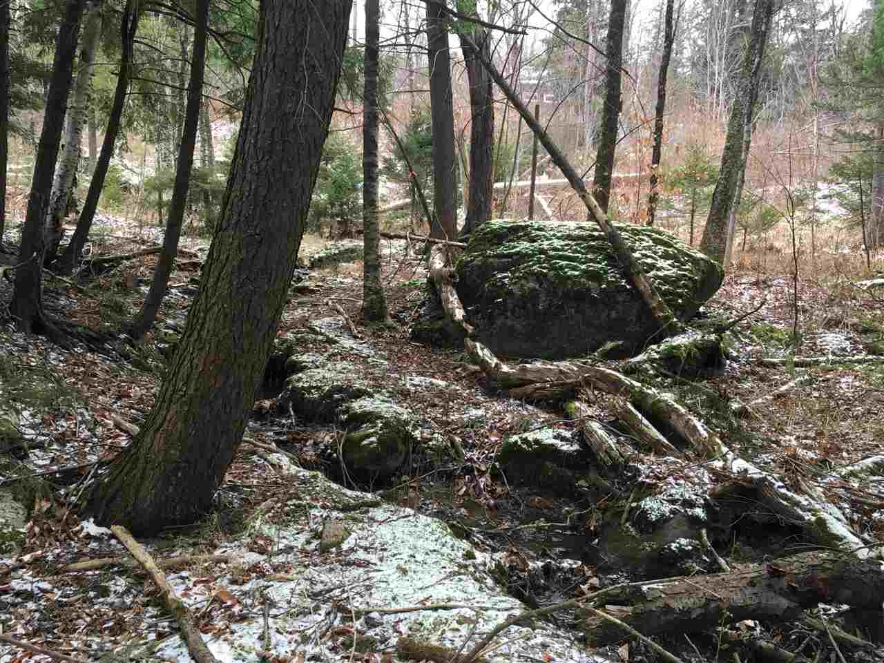 0 Low Road Waitsfield, VT 05673 - Photo 4 of 9 Gallery Image 4