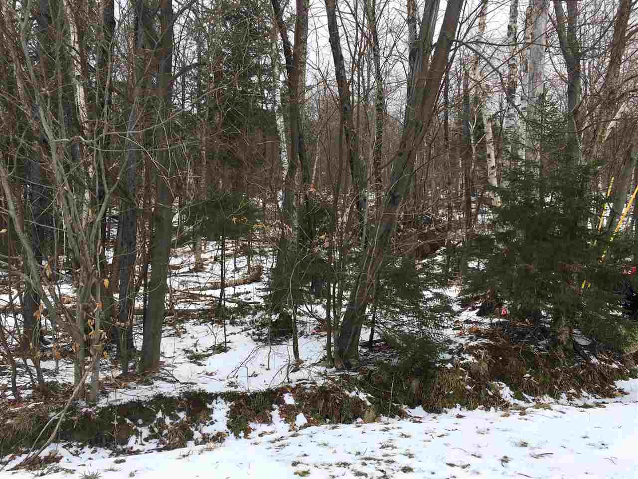 0 Low Road Waitsfield, VT 05673 - Photo 8 of 9 Gallery Image 8