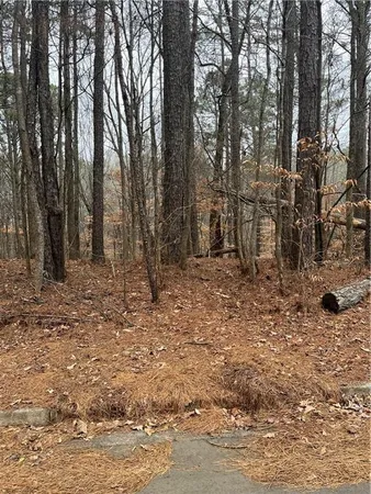 $29,000 | Lot 3 Lake Esther Drive, Fairburn, GA 30213