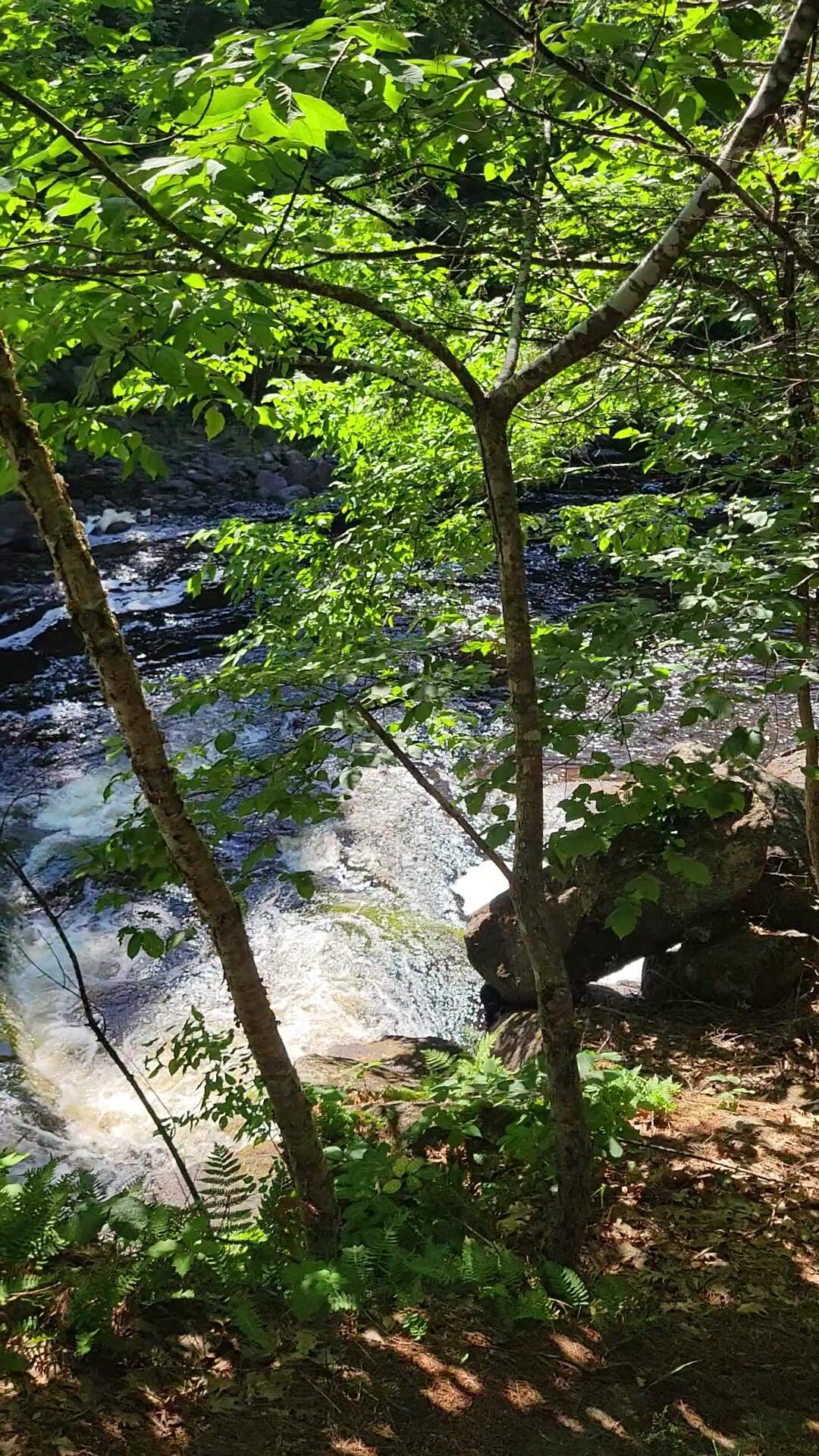 Tbd Tbd Grand Falls Milo, ME 04463 - Photo 2 of 5 VideoCapture_20220809-151226