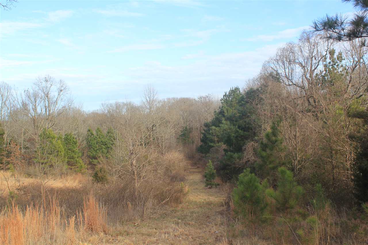 1365 Clanton Road Coldwater, MS 38618 - Photo 2 of 25 Gallery Image 2