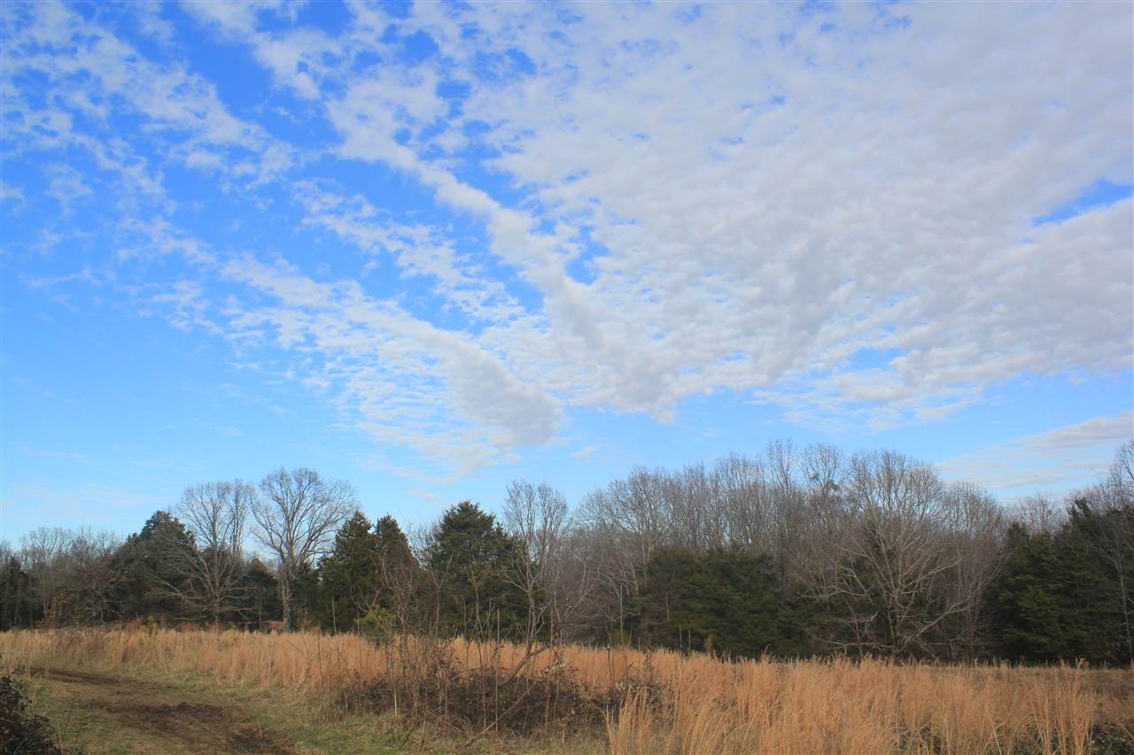 1365 Clanton Road Coldwater, MS 38618 - Photo 11 of 25 Gallery Image 11