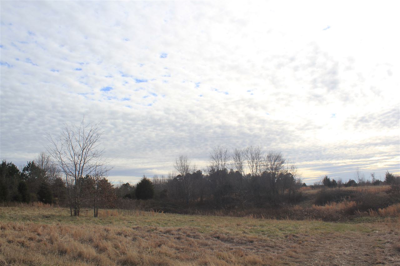 1365 Clanton Road Coldwater, MS 38618 - Photo 14 of 25 Gallery Image 14