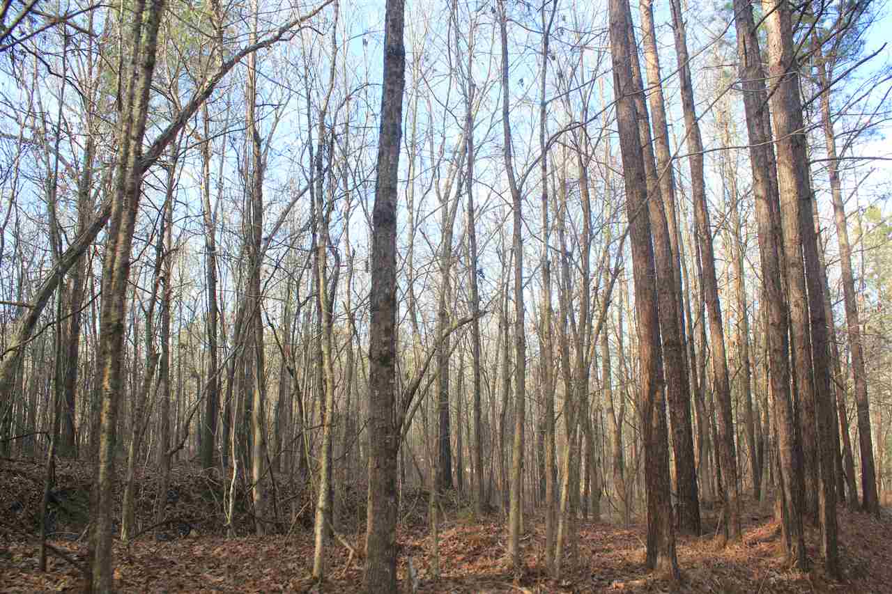 1365 Clanton Road Coldwater, MS 38618 - Photo 15 of 25 Gallery Image 15