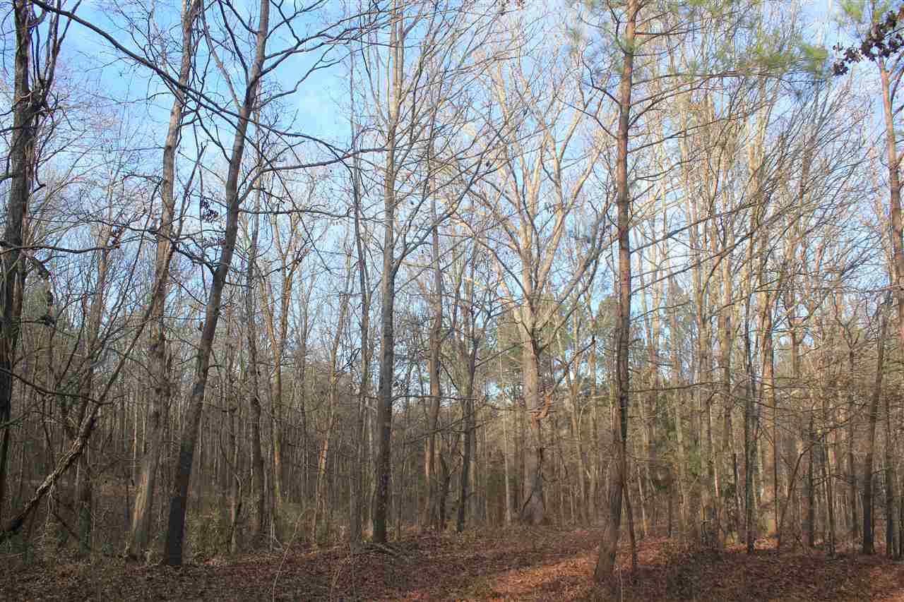 1365 Clanton Road Coldwater, MS 38618 - Photo 16 of 25 Gallery Image 16