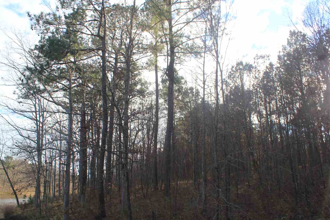 1365 Clanton Road Coldwater, MS 38618 - Photo 19 of 25 Gallery Image 19