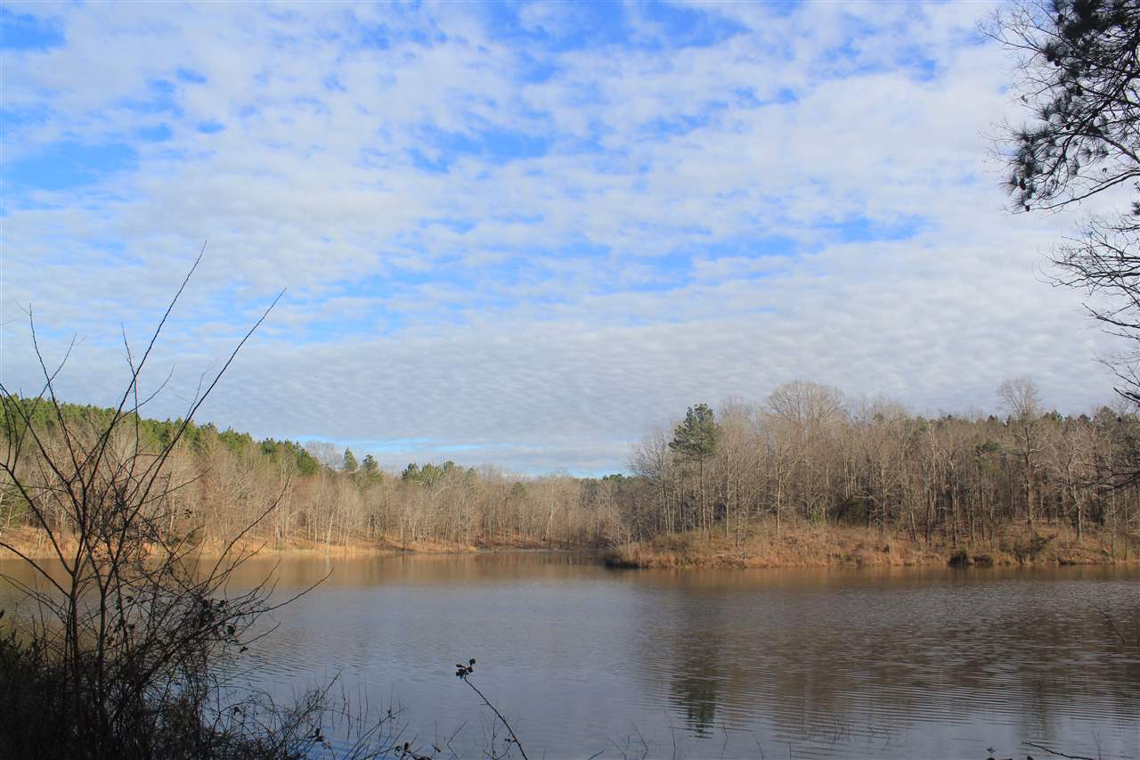 1365 Clanton Road Coldwater, MS 38618 - Photo 20 of 25 Gallery Image 20