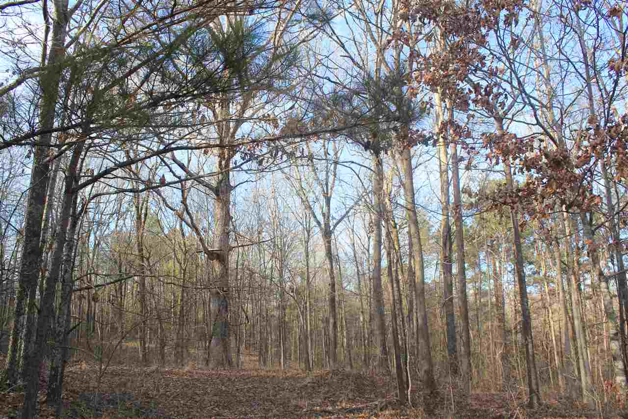 1365 Clanton Road Coldwater, MS 38618 - Photo 21 of 25 Gallery Image 21