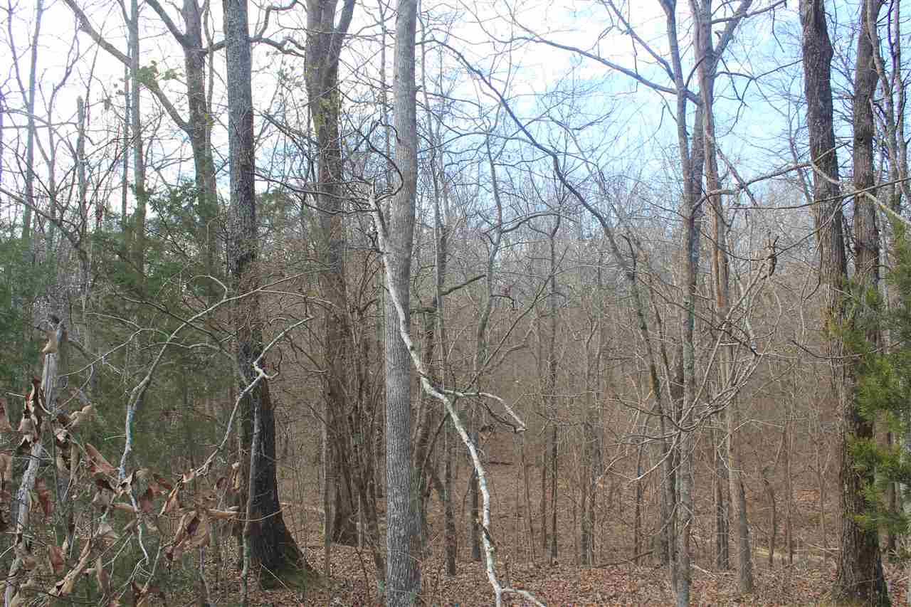 1365 Clanton Road Coldwater, MS 38618 - Photo 4 of 25 Gallery Image 4