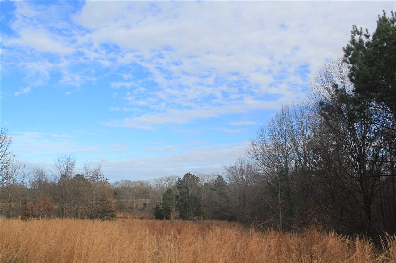 1365 Clanton Road Coldwater, MS 38618 - Photo 6 of 25 Gallery Image 6