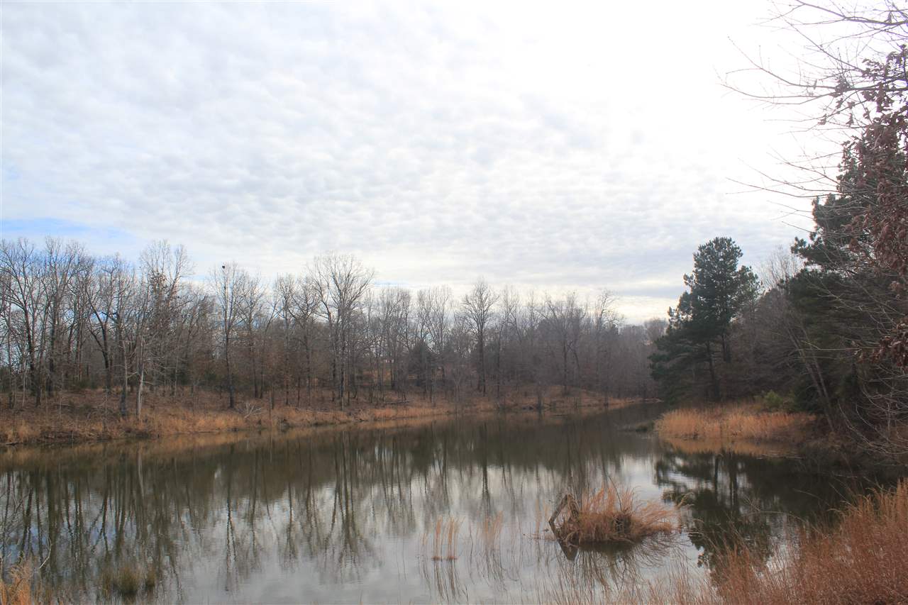 1365 Clanton Road Coldwater, MS 38618 - Photo 7 of 25 Gallery Image 7