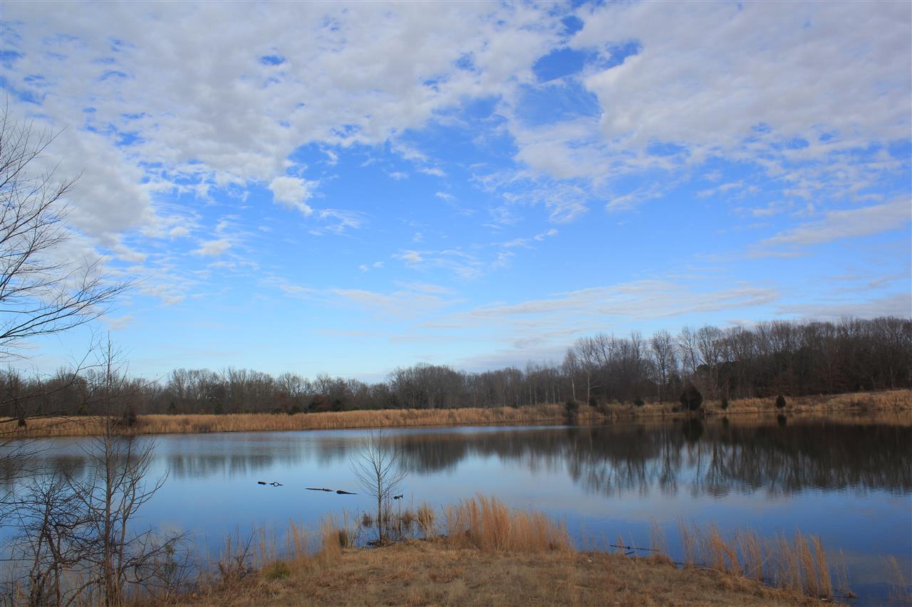 1365 Clanton Road Coldwater, MS 38618 - Photo 8 of 25 Gallery Image 8