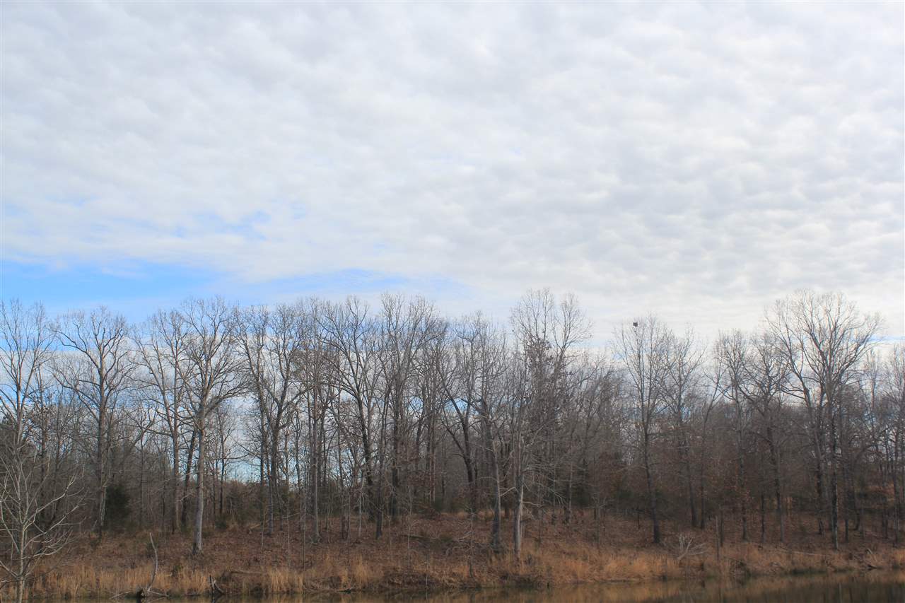 1365 Clanton Road Coldwater, MS 38618 - Photo 9 of 25 Gallery Image 9