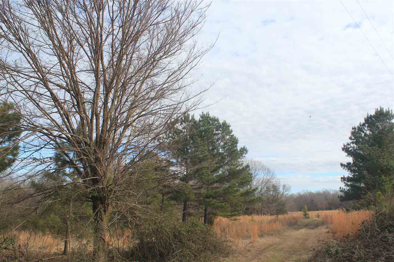 1365 Clanton Road Coldwater, MS 38618 - Photo 10 of 25 Gallery Image 10