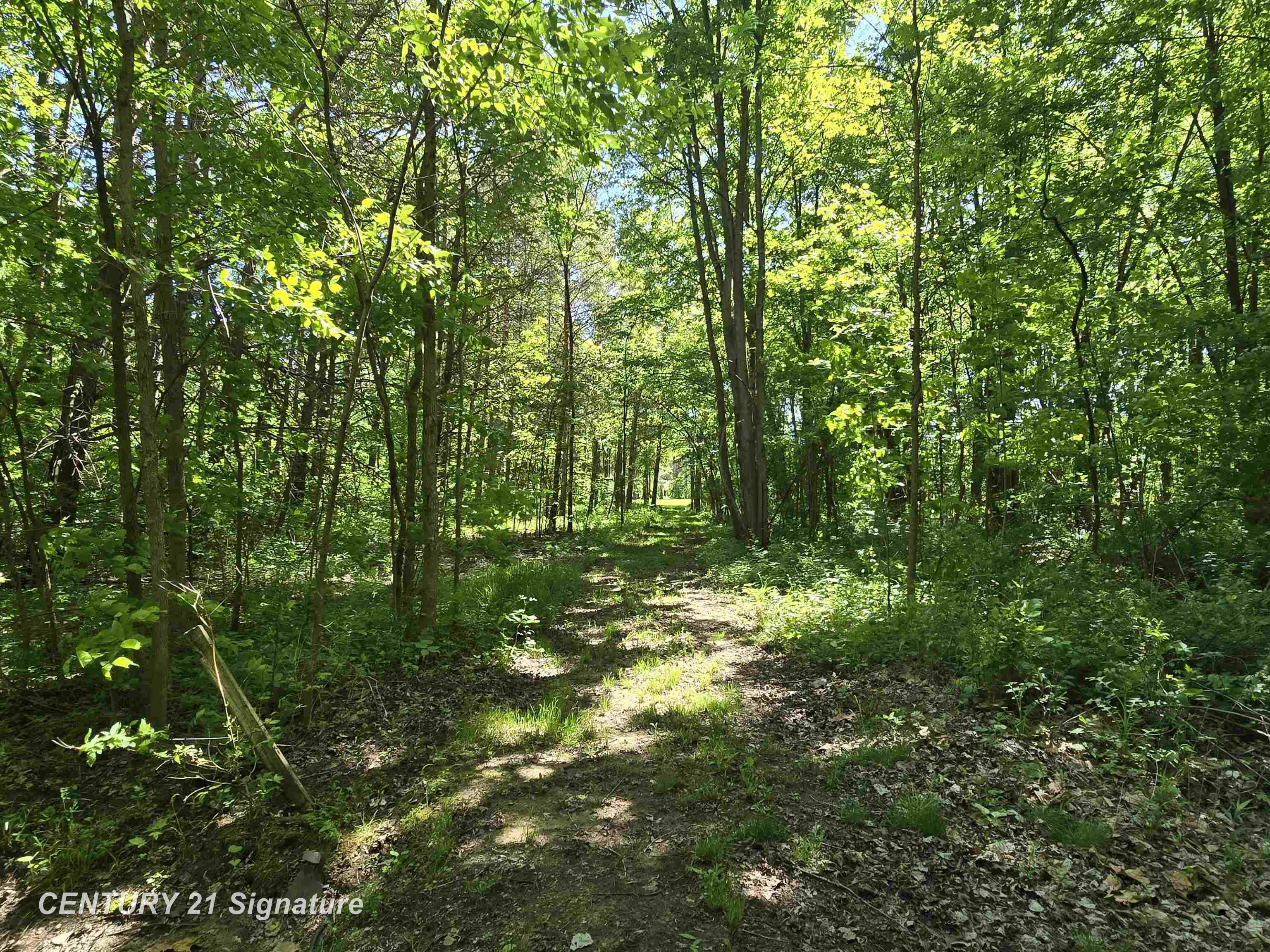1162 East Farrand Road Clio, MI 48420 - Photo 57 of 88