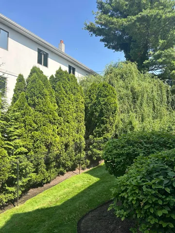 a view of a back yard of the house