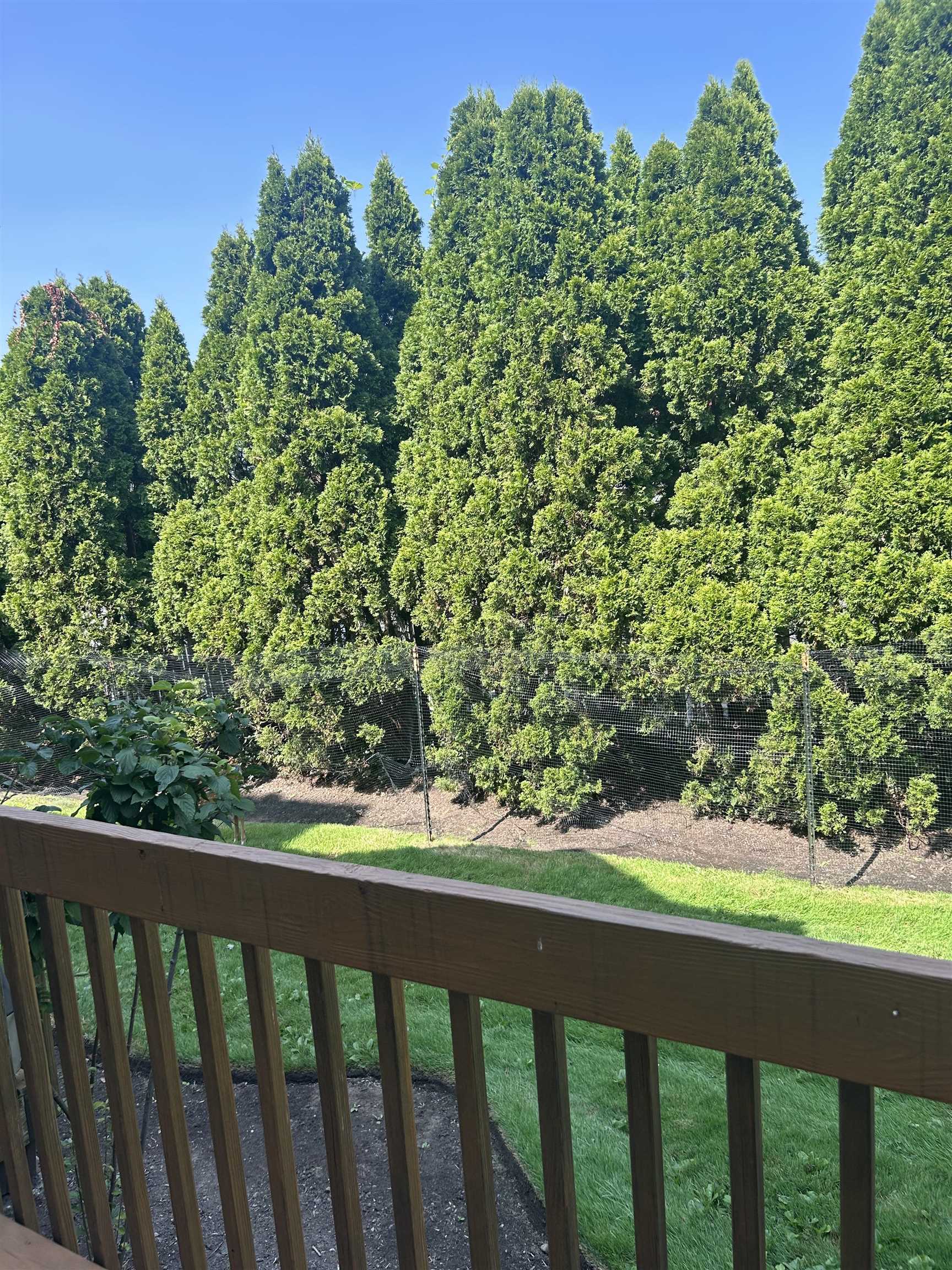 302 Grand Ridge Drive, Unit 302 Ridgefield, NJ 07657 - Photo 40 of 47 a view of a green yard with wooden fence