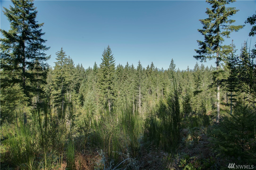 7702 Southwest Ridgeline Drive Port Orchard, WA 98367 - Photo 12 of 22 Gallery Image 12