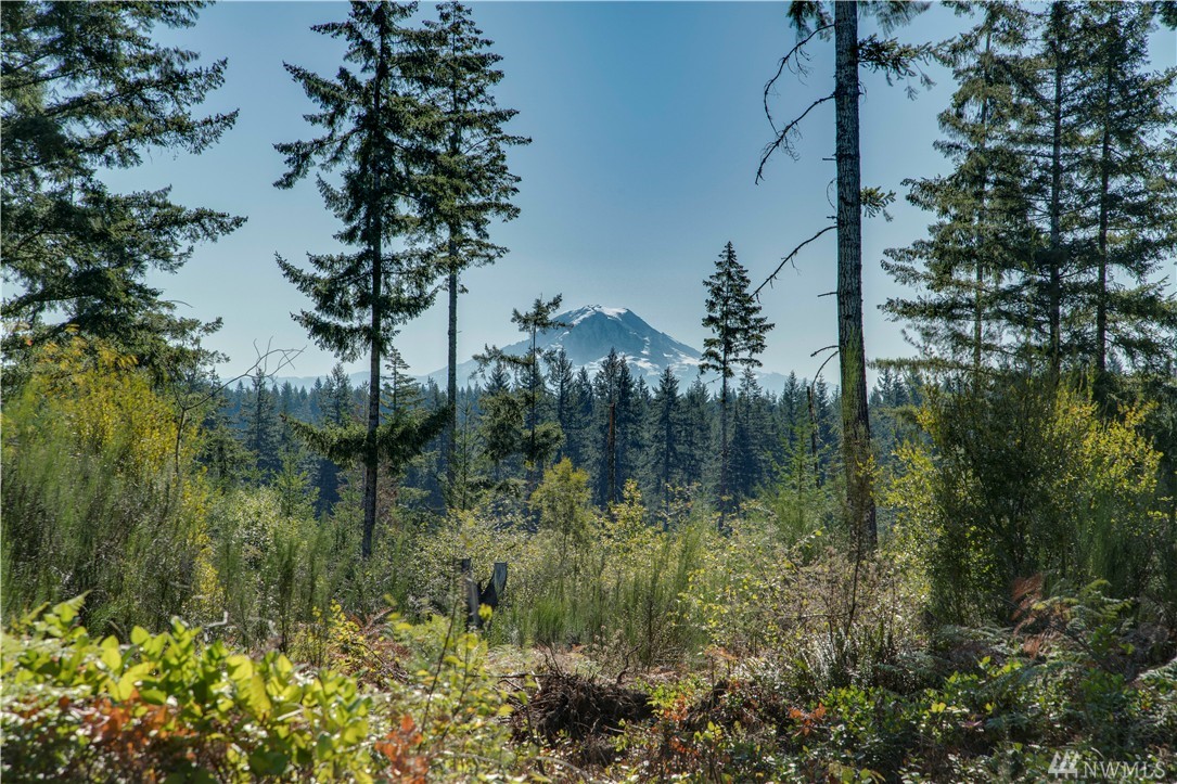 7702 Southwest Ridgeline Drive Port Orchard, WA 98367 - Photo 15 of 22 Gallery Image 15
