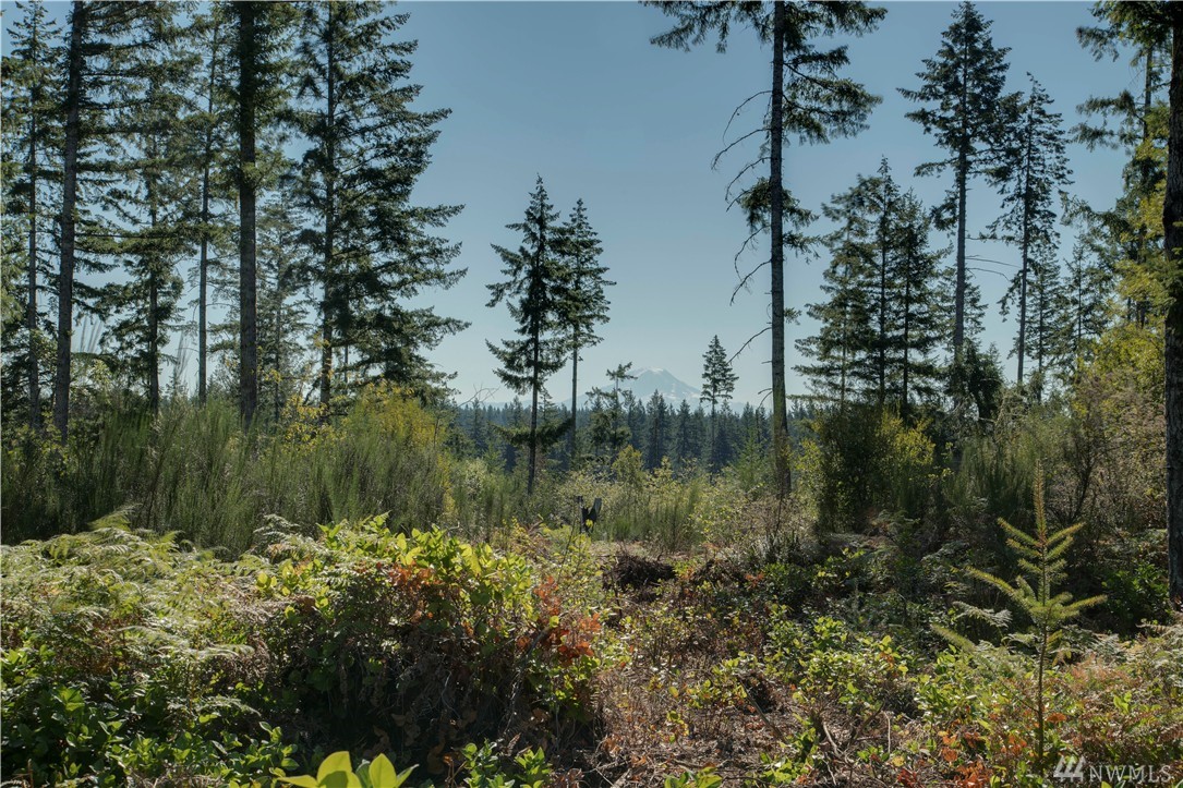 7702 Southwest Ridgeline Drive Port Orchard, WA 98367 - Photo 16 of 22 Gallery Image 16