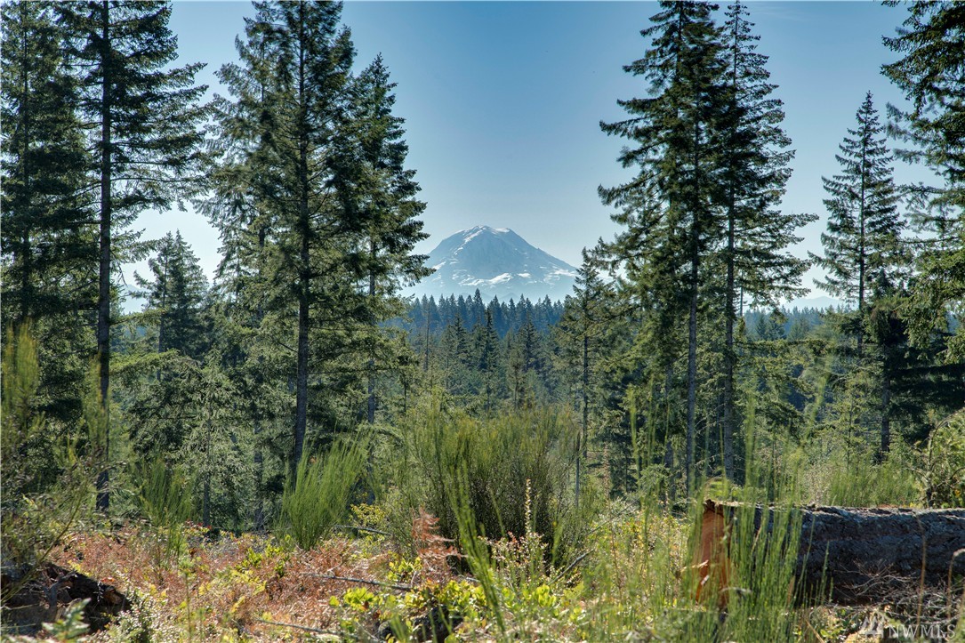 7702 Southwest Ridgeline Drive Port Orchard, WA 98367 - Photo 10 of 22 Gallery Image 10