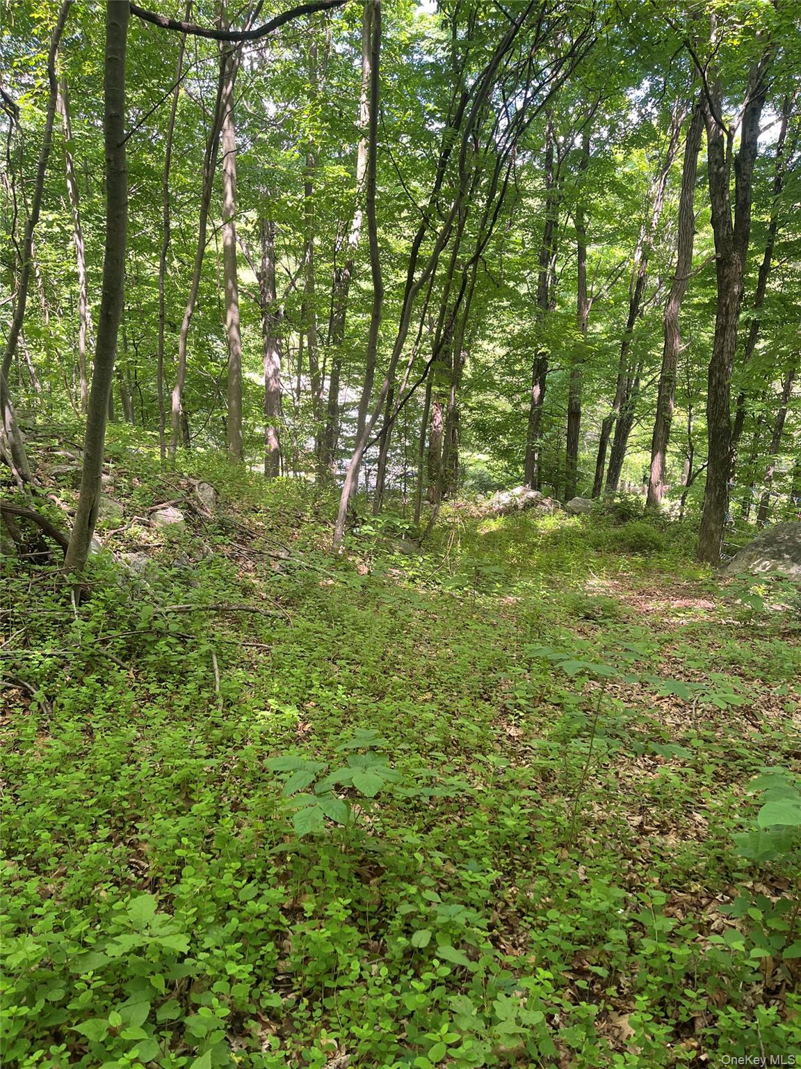 Old Church Road Putnam Valley, NY 10579 - Photo 4 of 26 a yard with lots of green space and trees