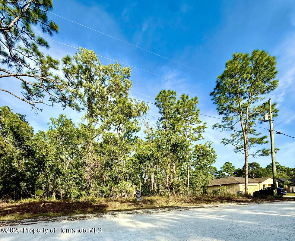 Lot 9 Macassar Road Weeki Wachee, FL 34614 - Photo 2 of 4