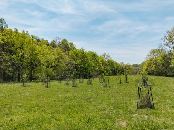 $380,000 | 305 Ingram Road, Pulaski, TN 38478