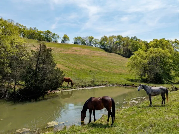 $380,000 | 305 Ingram Road, Pulaski, TN 38478