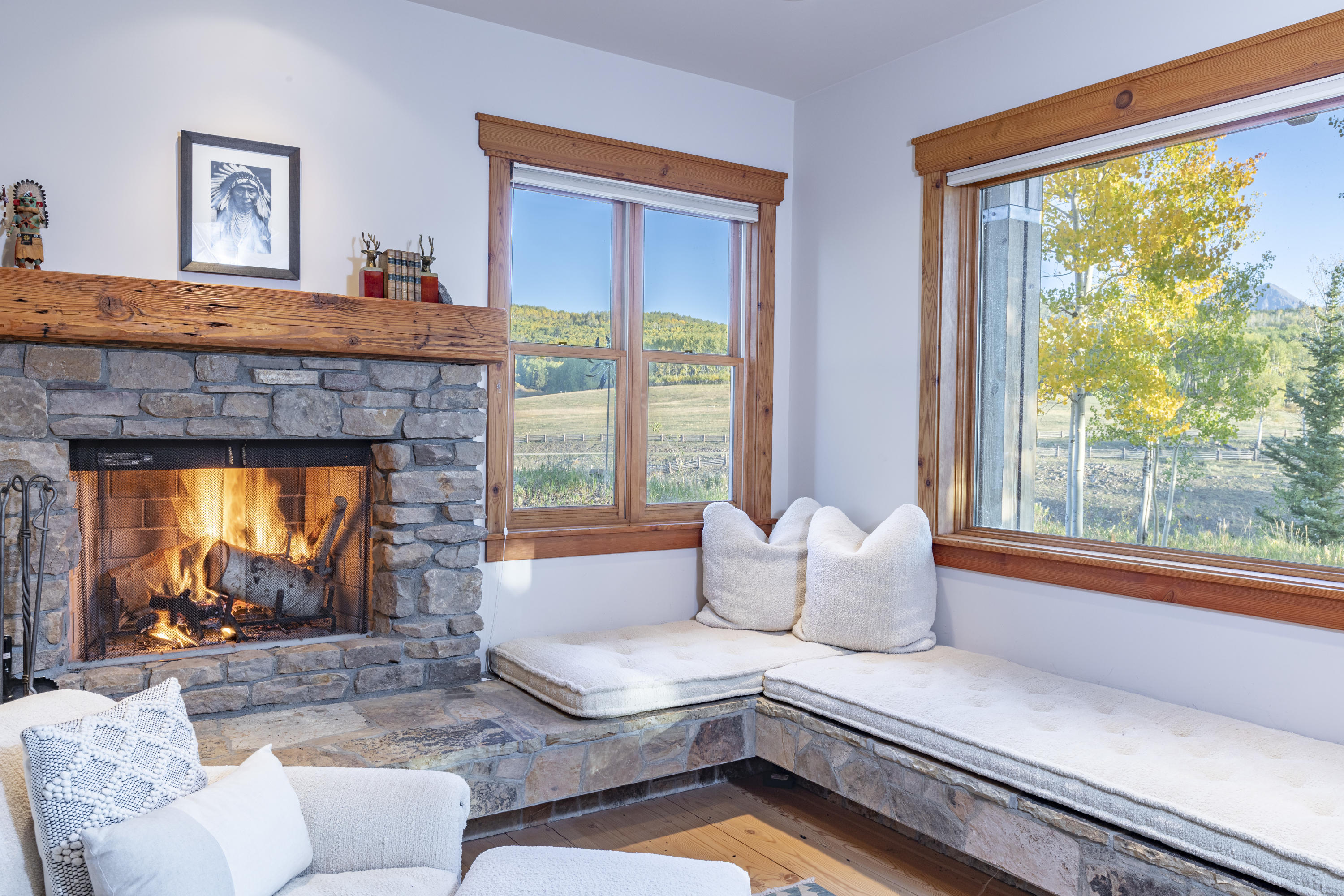 6800 County Road Telluride, CO 81435 - Photo 14 of 29 MBfireSitting