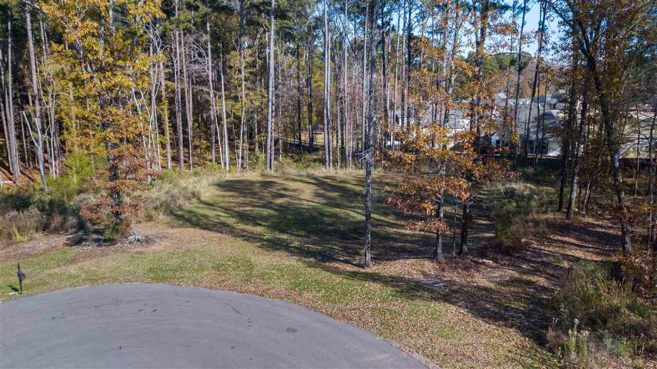 508 Longleaf Place, Unit 31 Madison, MS 39110 - Photo 4 of 5 Photo 4
