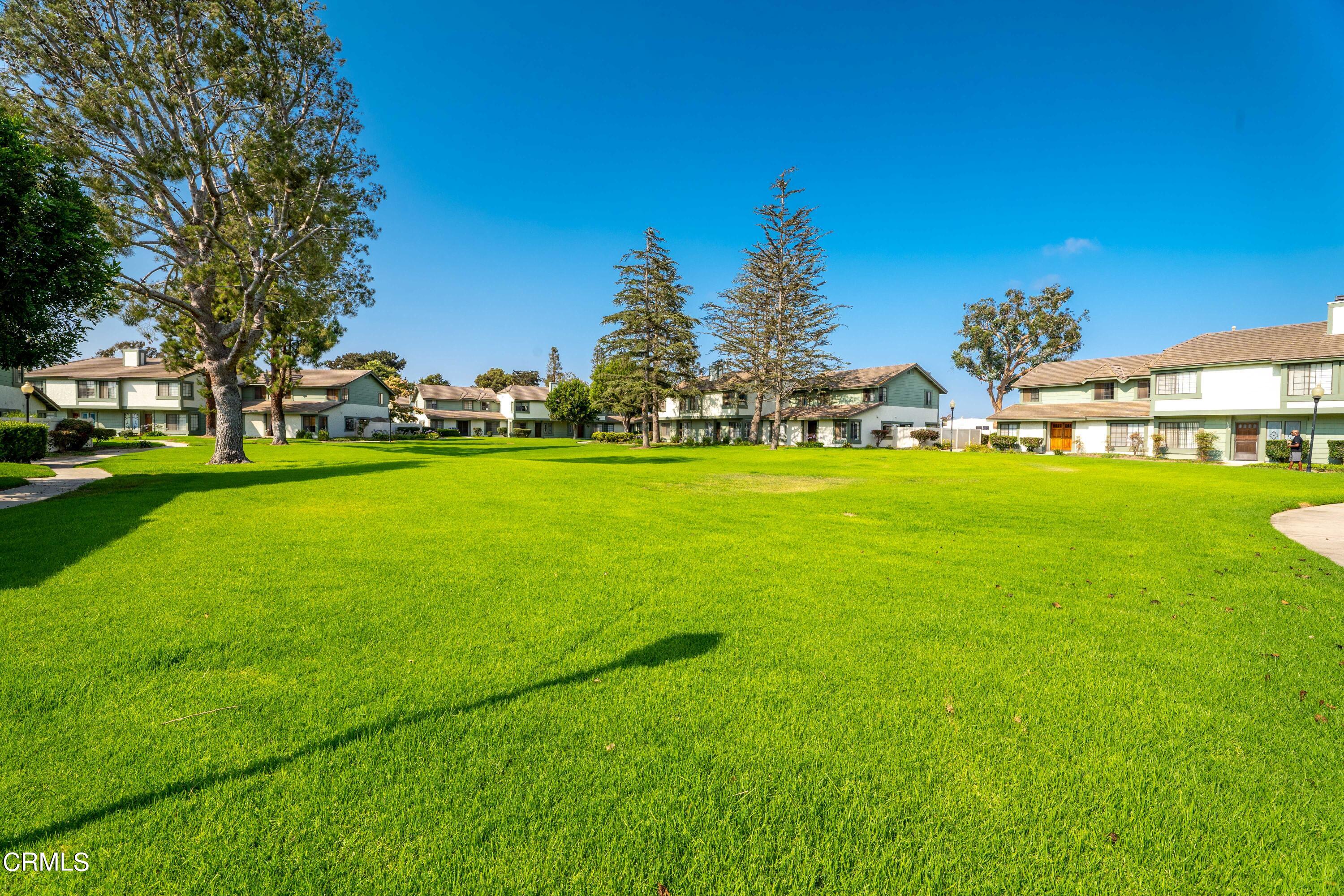 3554 Olds Road Oxnard, CA 93033 - Photo 21 of 27 a view of a field with of trees